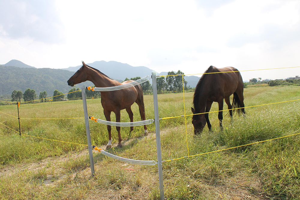 牧場(chǎng)電子圍欄案例